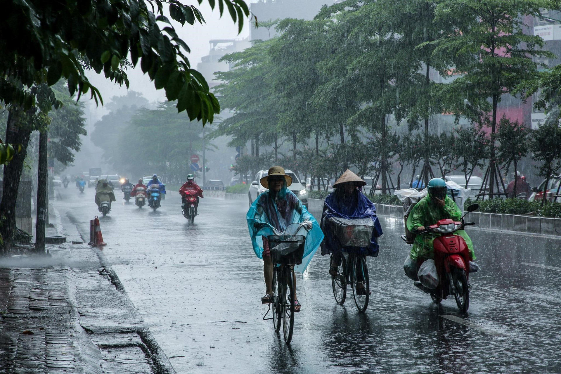 Đợt gió mùa Đông Bắc đang tràn xuống sẽ gây rét ra sao?