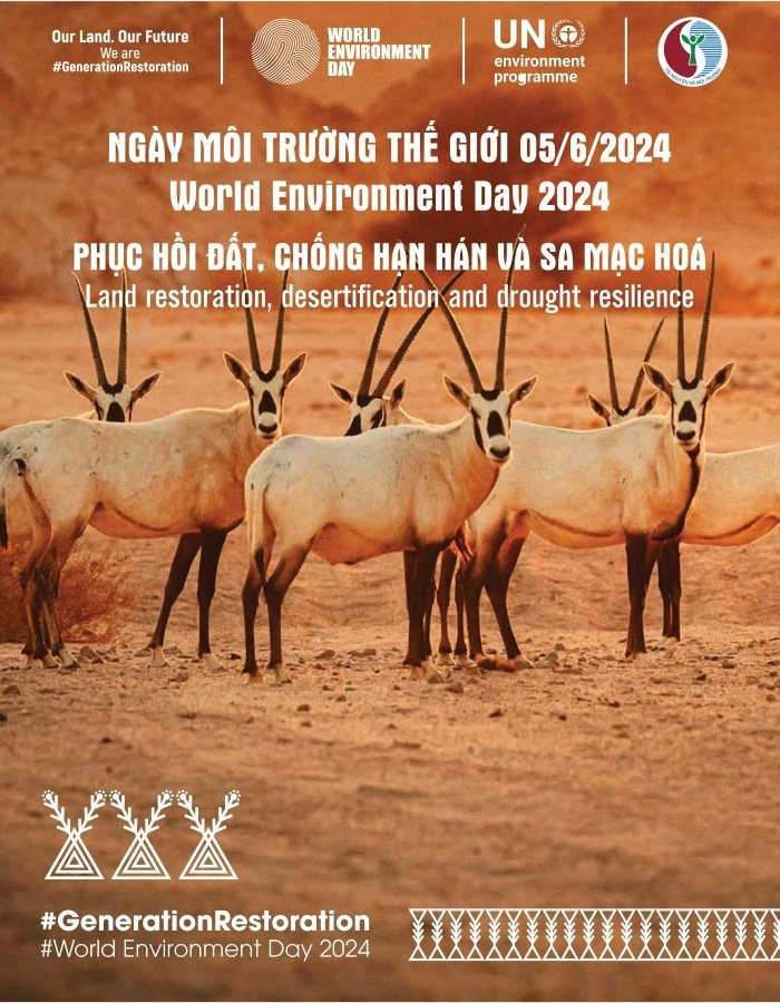 poster-ngay-mttg-2024.jpg