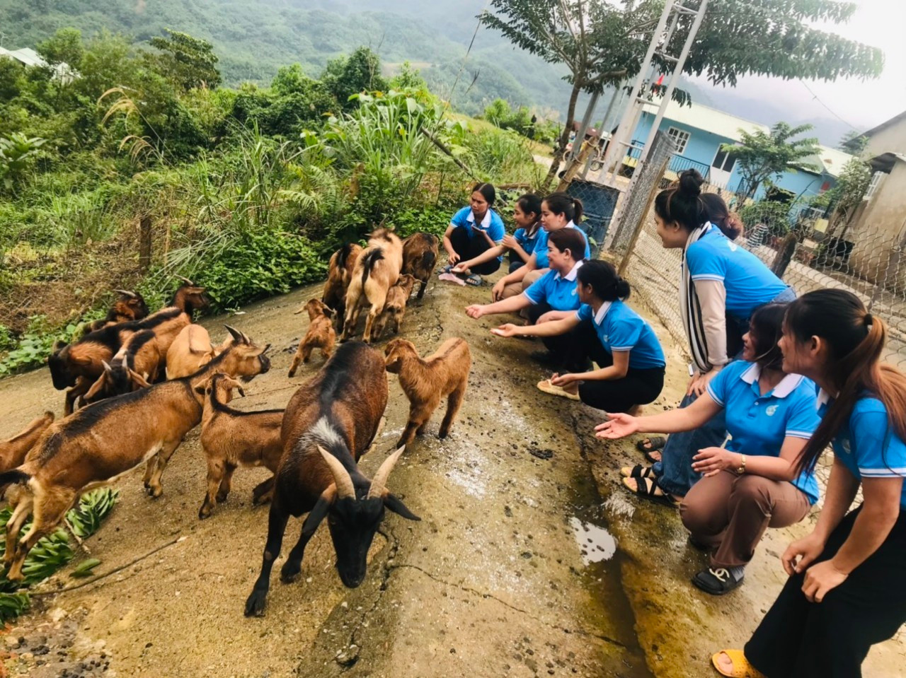 Nam Trà My: 244 tỷ đồng vốn chính sách giải vay cho hộ nghèo 