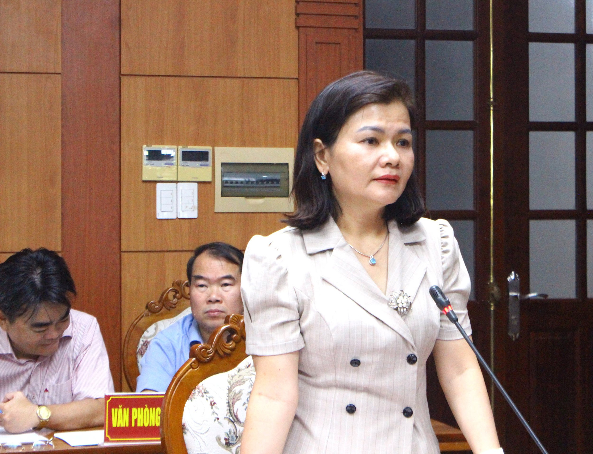 Bà Phạm Thị Ngọc Quyên – Phó Giám đốc Sở Khoa học và Công nghệ trình bày báo cáo tại cuộc họp. 