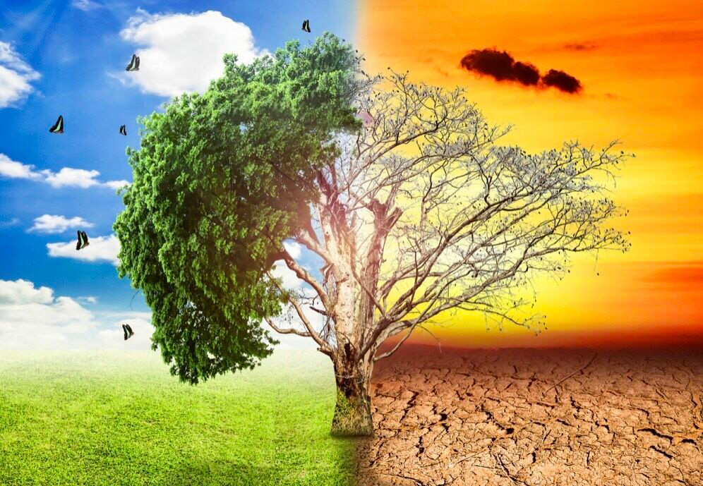 Ngày Trái Đất 2025: Hành động ngay trước khi quá muộn để cứu hành tinh - Ảnh 2