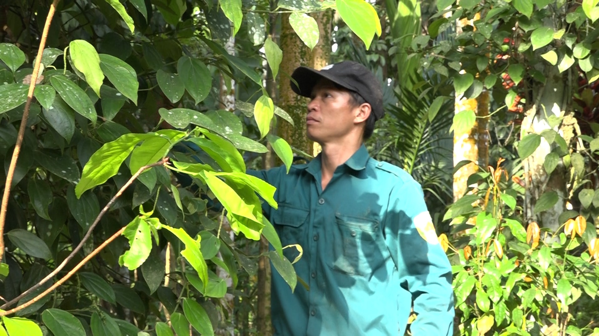 mohinh3.jpg