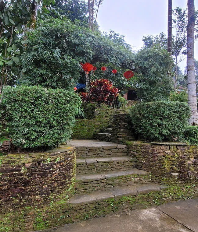 giải nhất tường đẹp TP