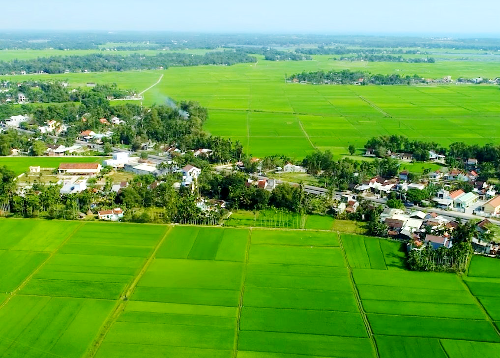 images.baoquangnam.vn-storage-newsportal-2023-9-10-147657-_tnb-60349.png