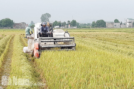 Thông tin các hoạt động Diễn đàn liên kết phát triển du lịch giữa thành phố Hà Nội, thành phố Hồ Chí Minh và vùng kinh tế trọng điểm Miền Trung