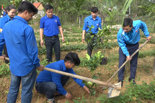Trồng cây chung tay ứng phó với biến đổi khí hậu