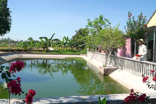 Phát huy vai trò của nông dân trong phát triển kinh tế nông nghiệp