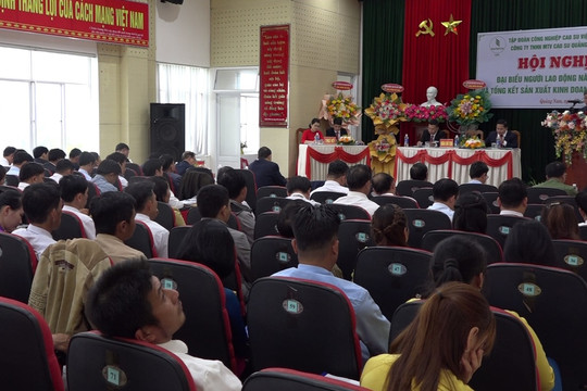 Công ty TNHH MTV Cao su Quảng Nam tổ chức hội nghị đại biểu Người lao động năm 2023