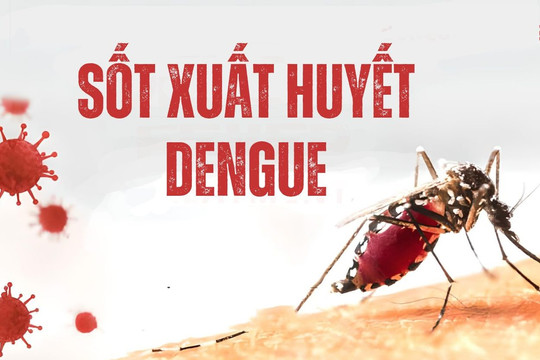 Tăng cường phòng, chống dịch bệnh sốt xuất huyết