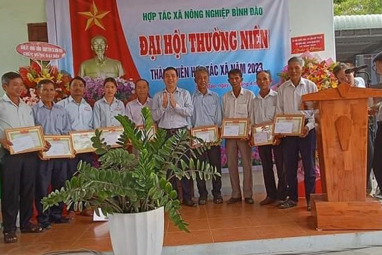 Hợp tác xã Nông nghiệp Bình Đào đại hội thường niên