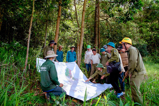 Chiêu sinh khóa Bồi dưỡng theo tiêu chuẩn chức danh nghề nghiệp viên chức chuyên ngành Quản lý bảo vệ rừng