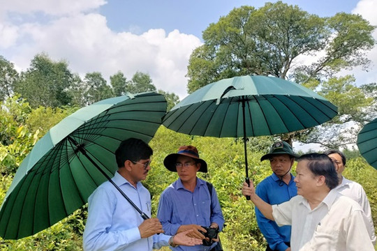 Chuyên gia Ấn Độ khảo sát Phật viện Đồng Dương