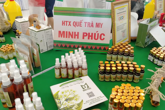 Xây dựng mô hình trồng một số loài cây dược liệu có giá trị kinh tế trên địa bàn huyện Bắc Trà My