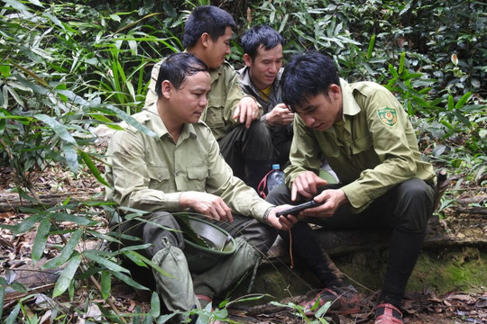 100% các tuyến tuần tra sử dụng phần mềm SMART, Locus Map phục vụ công tác quản lý, bảo vệ rừng