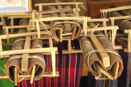 Từ ngày 04-06/7 huyện Bắc Trà My khai mạc Lễ hội Quế Trà My 2023