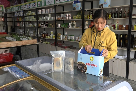 Lâm Phụng Điệp và nỗ lực đưa sản phẩm ý tưởng khởi nghiệp trở thành sản phẩm OCOP