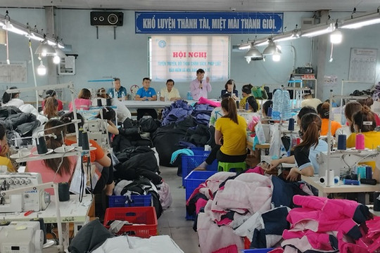 Hội nghị Tuyên truyền, Đối thoại chính sách, pháp luật BHXH, BHYT về Dự thảo Luật BHXH 2024