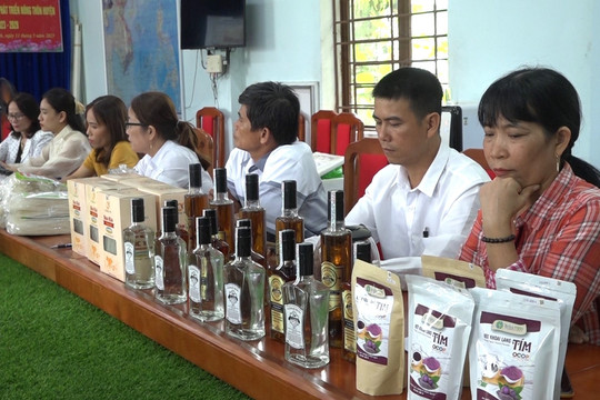 Thăng Bình công nhận 10 sản phẩm công nghiệp nông thôn tiêu biểu năm 2023