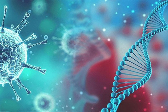 Chủ động công tác phòng, chống dịch bệnh COVID-19 trước làn sóng lây nhiễm mới