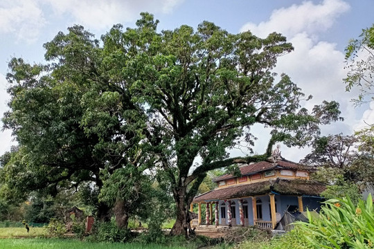 Thăng Bình có hai Di tích vừa được công nhận di tích lịch sử cấp tỉnh