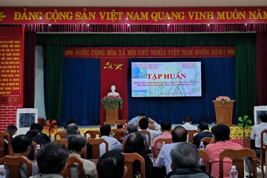 Bình Đào tổ tập huấn triển khai mô hình chuyển đổi số trong nông nghiệp sản xuất và tiêu thụ nếp Hương Lân