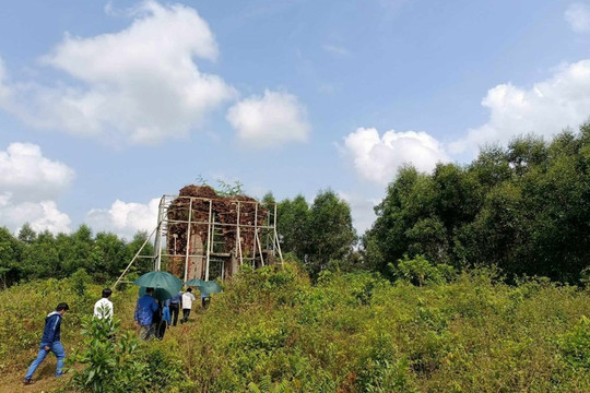 Dự kiến trong tháng 1/2024, chuyên gia Ấn Độ sẽ có báo cáo kế hoạch thám sát, bảo tồn Phật viện Đồng Dương