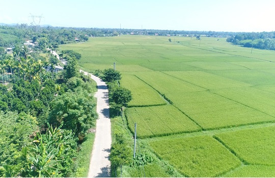 Thăng Bình dự kiến xây dựng thêm 3 xã nông thôn mới nâng cao năm 2024