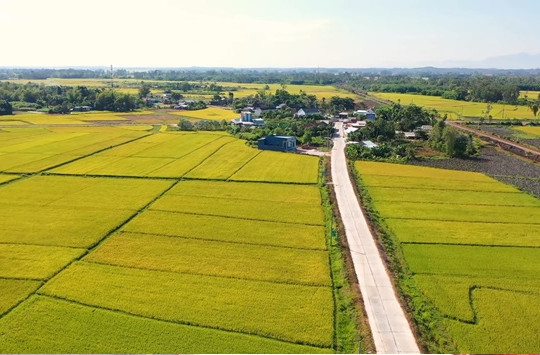 Năm 2024, huyện Thăng Bình phấn đấu có 15 thôn được công nhận thôn NTM kiểu mẫu