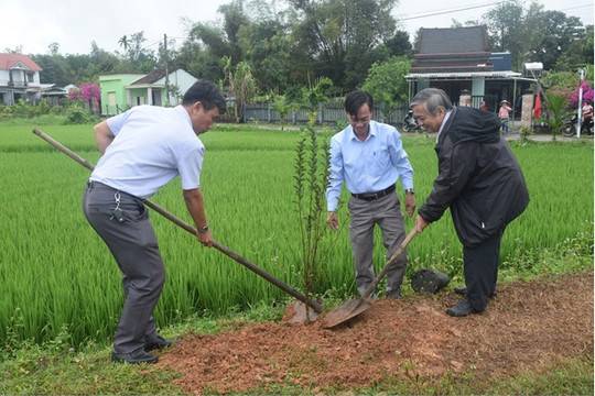 Hội Nông dân huyện Thăng Bình hưởng ứng phong trào “Tết trồng cây – đời đời nhớ ơn Bác Hồ”