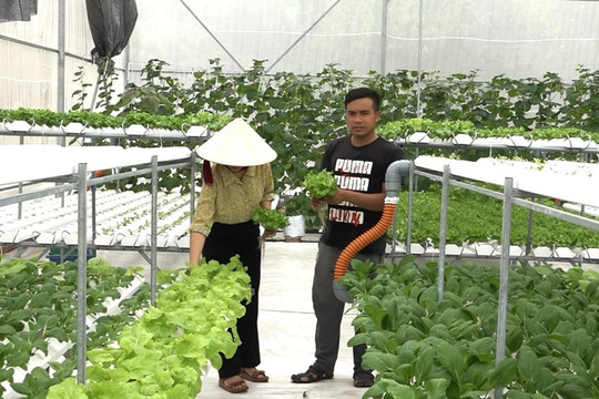 Giai đoạn 2018- 2023: Thăng Bình có 31 sản phẩm của 25 chủ thể được công nhận OCOP