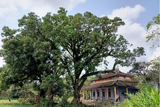 Thị trấn phát động cuộc thi “Hà Lam - Di tích và danh thắng”