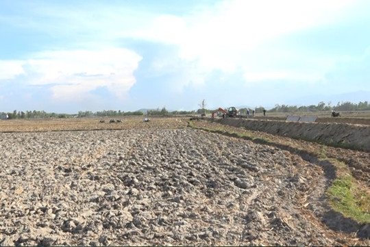 Hướng dẫn sản suất vụ hè thu 2024