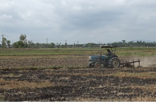 Vụ hè thu 2024, áp dụng tưới bằng động lực từ trạm bơm điện Cơ Bình