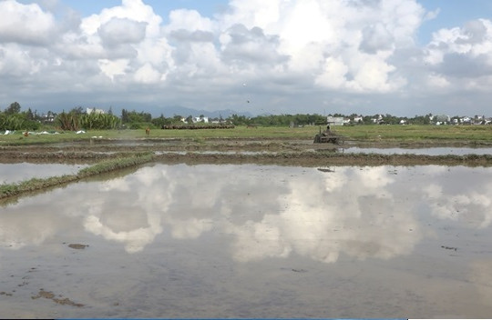 Thăng Bình tập trung cho vụ hè thu 2024