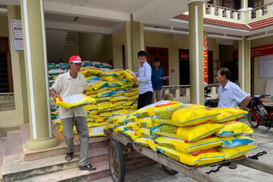 Bình Giang: Cấp hơn 8,5 tấn lúa giống để sản xuất vụ Hè Thu 2024