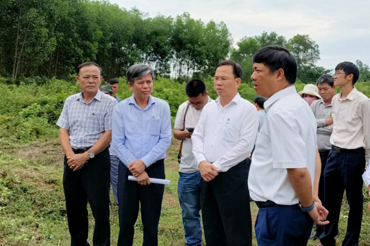 Bí thư Tỉnh ủy Lương Nguyễn Minh Triết khảo sát khu di tích quốc gia đặc biệt Phật viện Đồng Dương (xã Bình Định Bắc, Thăng Bình)