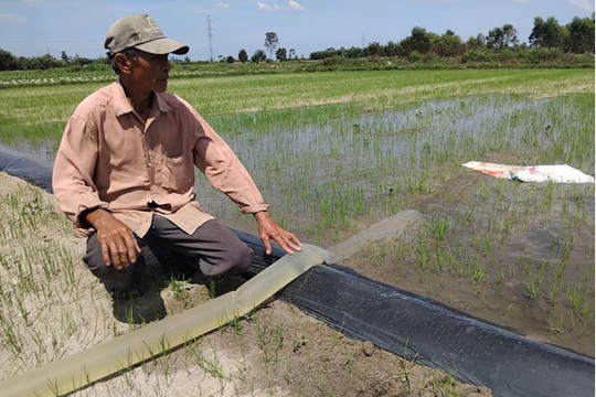 Nhọc nhằn lấy nước hè thu