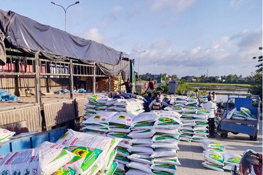 Hội Nông dân Thăng Bình cung ứng hơn 941 tấn phân bón trả chậm