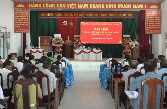 Trong 5 năm, Hợp tác xã nông nghiệp Bình Chánh tích tụ tập trung ruộng đất hơn 70 ha