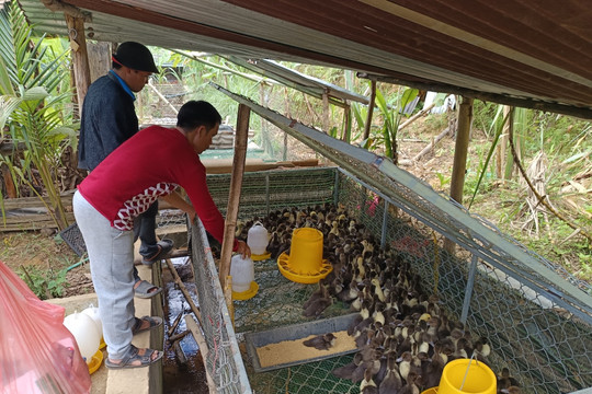 Tăng cường chỉ đạo thực hiện Chương trình MTQG giảm nghèo bền vững năm 2024