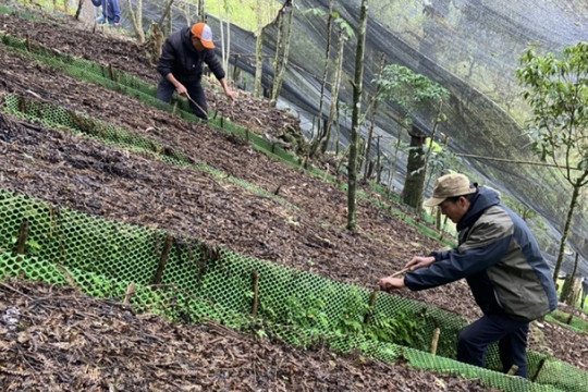 Sửa đổi, bổ sung một số nội dung về quy định đơn giá bồi thường, hỗ trợ đối với cây trồng, vật nuôi là thủy sản khi Nhà nước thu hồi đất