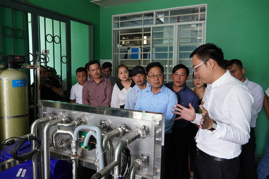 Huyện Nam Trà My thăm và làm việc với công ty Life Gift về phát triển sản phẩm sâm Ngọc Linh