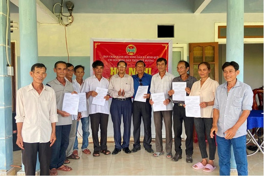 Nông dân xã Bình Quý liên kết mở rộng diện tích trồng ớt