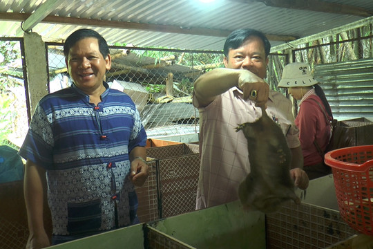 Mô hình nuôi Dúi tại xã La Ê cho hiệu quả cao