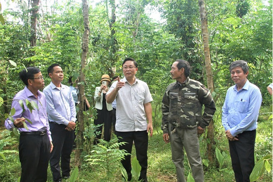 Sáu thập kỷ nhắc mãi Chiến thắng Hà Châu - An Lý