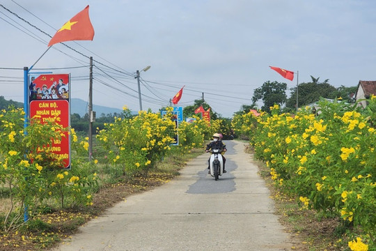 Hội LHPN huyện Thăng Bình kiểm tra tuyến đường “Sáng - xanh - sạch - đẹp” năm 2024