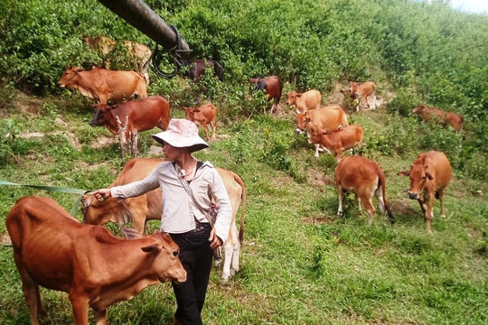 Phước Sơn được đầu tư hơn 640 tỷ đồng từ 03 Chương trình MTQG