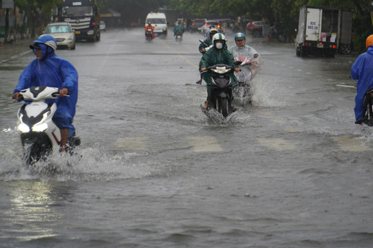 Quảng Nam chủ động ứng phó với mưa lớn và thời tiết nguy hiểm trên biển