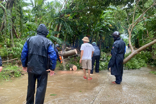 Quảng Nam: 2 người bị thương, 13 ngôi nhà bị tốc mái do ảnh hưởng bão số 6