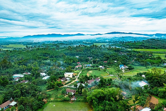 Quy định đơn giá bồi thường thiệt hại đối với cây trồng, vật nuôi khi Nhà nước thu hồi đất trên địa bàn tỉnh Quảng Nam